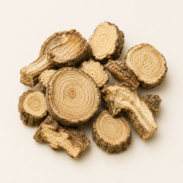 Stillingia Root