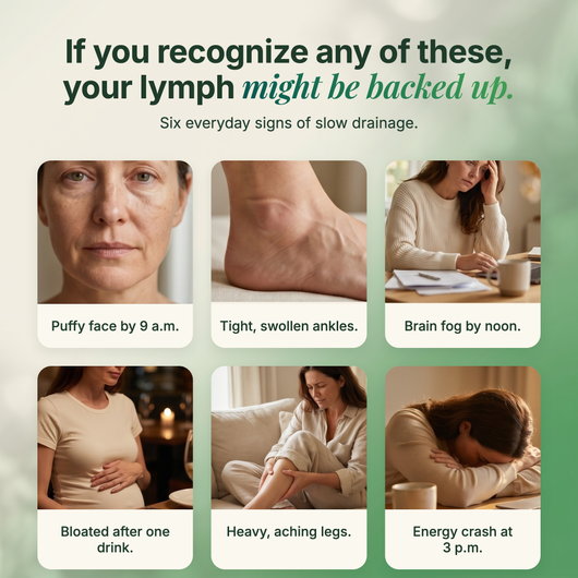Drain & Define | VYTA Lympathic Drops